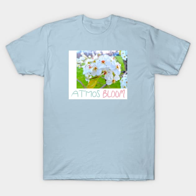 Atmos t shirt outlet